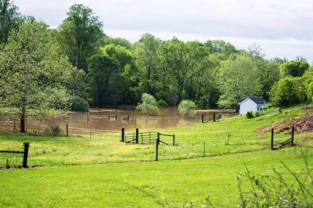 Are You Prepared For Disaster On Your Homestead? Image